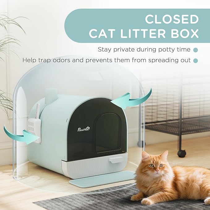 PawHut Cat Litter Box with Lid, Covered Litter Box for Indoor Cats with Tray, Scoop, Mat, Filter, 17" x 17" x 18.5", Green