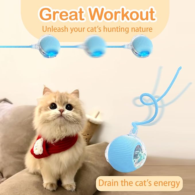 Interactive Cat Toys, 2025 Upgraded Cat Ball Automatic Moving with Tail, Interactive Kitty Toy for Indoor Cats, Smart 360° Self Rolling Dog Ball Toys (Blue)
