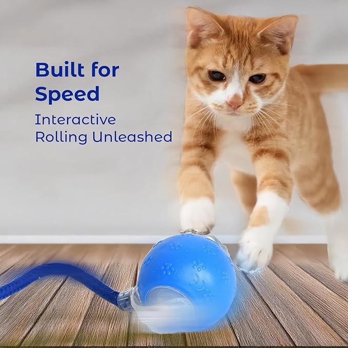 Automatic Interactive Cat Toy Ball, Motion Sensor, Self Rolling Smart Pet Toy for Indoor Cats & Kittens, Rechargeable Dog Toy Ball for Play, Exercise & Boredom Relief (Blue1)
