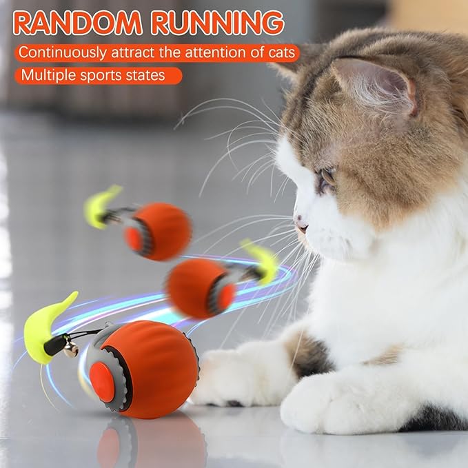 2 Pack Interactive Cat Toy Ball, Cat Enrichment Toys for Indoor Cats for Bored Indoor Adult Cats, Motion Activated
