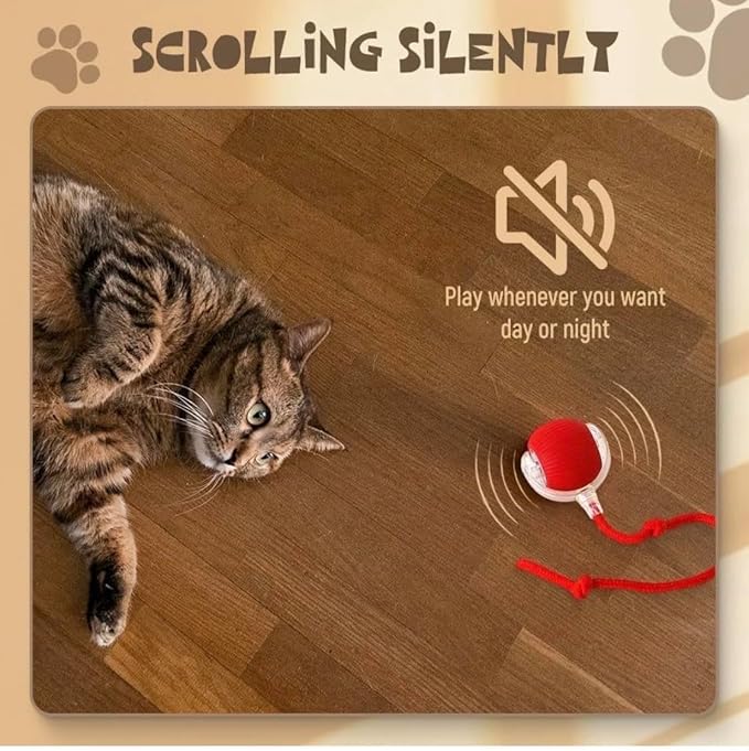 Interactive cat Toy Ball Chaser led recharable USB (Grey)