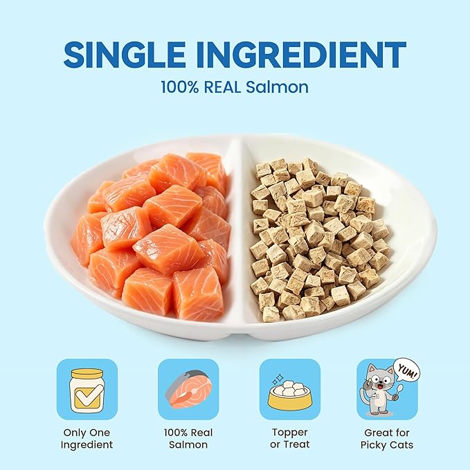 Freeze-Dried Salmon Cat Treats for Skin & Coat Health, 4oz, Single Ingredient High Protein Reward Snacks for Pets, Grain & Gluten Free