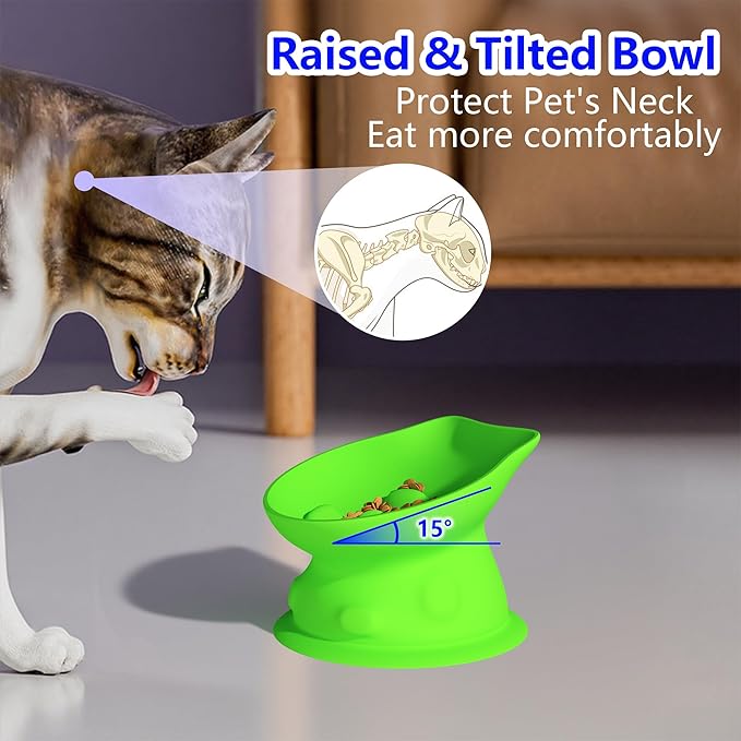 Slow Feed Cat Bowl, Elevated Cat Food Dish with Tilted Design, Dual-Use for Dry and Wet Food, Anti-Vomit, Anti-Choking, Easy to Clean