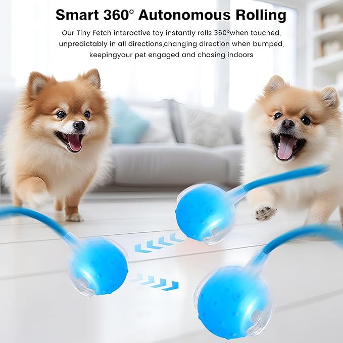 ZUAMEGUPetToy, Interactive Cat & Dog Ball Toy with Bird Sounds, Rechargeable 360° Smart Auto-Rolling Electric Pet Ball Toy (with Leash), Suitable for Indoor & Outdoor Use (Blue)