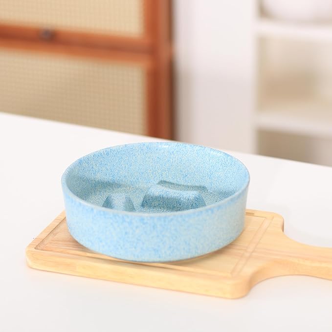 Ceramic Slow Feeder Cat Bowls 6 Inch Cute Bone Slow Feeding Dog Food Bowl,Whisker-Friendly, Anti-Vomiting Feeder for Cats and Small Dogs Non Slip Dishwasher/Microwave Safe (Blue)