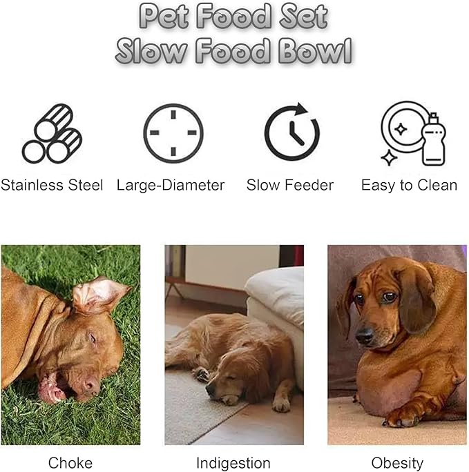 2 in 1 Slow Feeder Dog Bowl Stainless Steel, Medium Breed 2-Cups Slow Down Eating Dish, Dog Cat Food Bowls for Small & Medium Sized Dog (Dual-Purpose Dish)