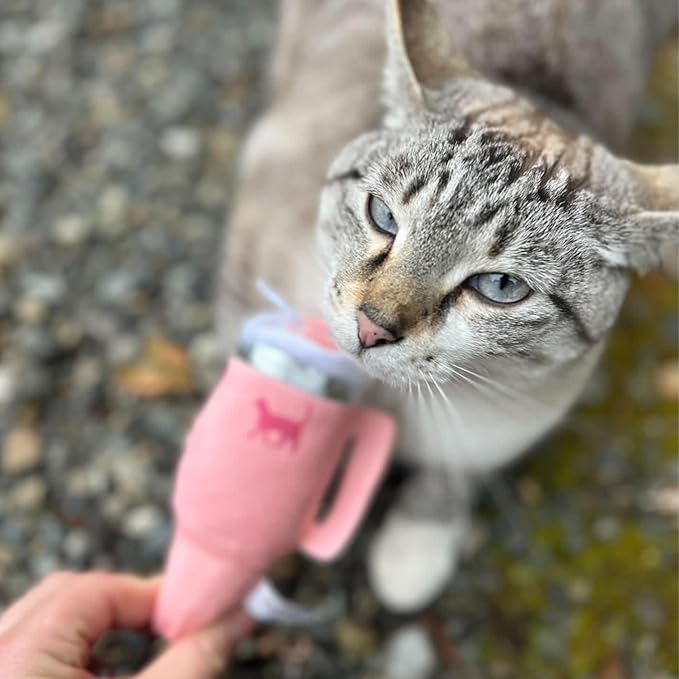 PUPROAR Kitty Cup Catnip Toy - Easter & Birthday Cat Gift Toy with Catnip & Crinkle, Funny Gift for Girl Indoor Kitten (Pink Peach Dust)