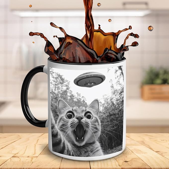 Funny Cat Selfie With UFO Alien Mug - Cat Lovers Gifts for Women, Men, Mom, Dad, Owner, Lady on Birthday, Halloween, Christmas - Humor Sarcastic Coffee Mug 11oz