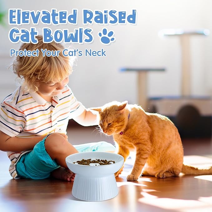 Tioncy 2 Pcs Raised Cat Slow Feeder Bowl Ceramic Elevated Cat Dog Food Bowl No Spill High Edge for Dry Wet Food and Water Easy to Clean, Dishwasher Safe (White,Blue)
