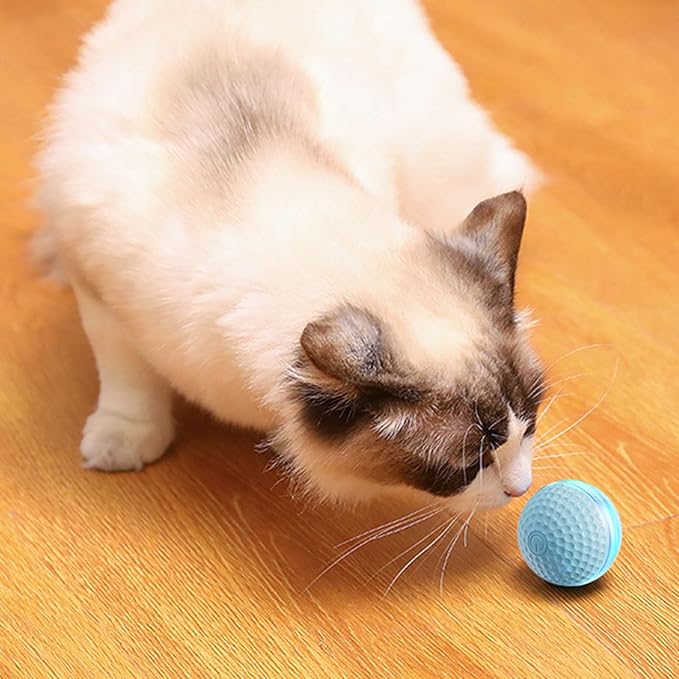 Electric Rolling Ball Cat Toy Automatic Moving Smart Ball with Light Interactive Kitten Teaser for Indoor Cats Bored Relief (Blue)