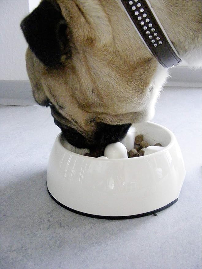 Dogit Dog Bowl Slow Feeder for Wet or Dry Dog Food, Go Slow Anti-Gulping Dog Dish, White, M