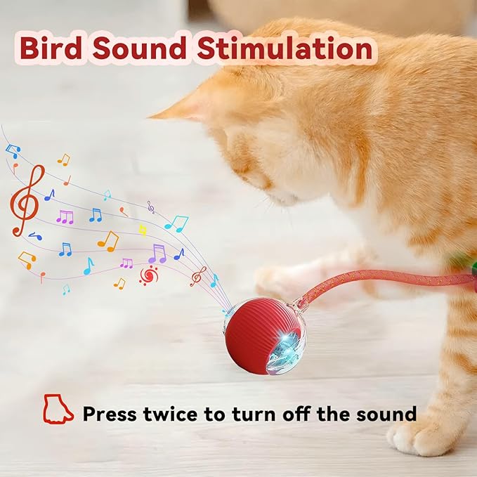 Speedy 2.0 Tail Interactive Cat Toys for Indoor Cats, Automatic Cat Toy with Elastic Mesh Tail, Electric Rolling Ball on Carpet, Chirping and Motion Activate Cat(Grey)