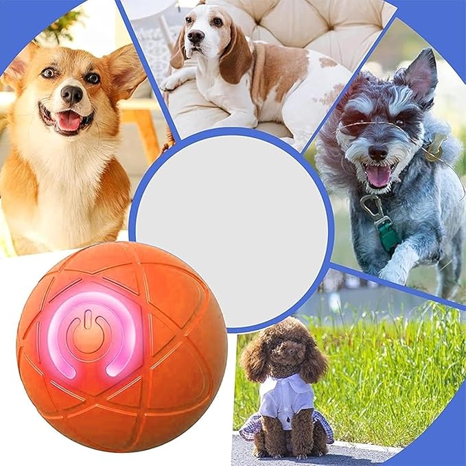 Interactive Cat Toy Ball - Automatic Cat Toy, USB Interactive Dog Ball Toy, Rolling Ball Dog Toy, Rechargeable Dog Interactive Toys Dog Ball with LED Light, Indoor Active Rolling Toys for Indoor Play