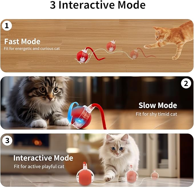 Interactive Cat Toy for Indoor Cat, Hide and Seek Cat Toy, Play Mat Toys with Self Rolling Ball in Pouch, Motion Activate&Buzzing, Rechargeable Pet Teaser Toy (Red)