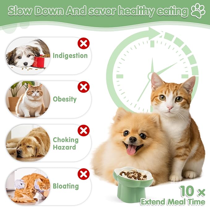 Cat Slow Feeder Bowl Set - 1 Pcs Pastel Series Cat Plate for Dry and Wet Food - Cute Maze Feeder Dish for Healthy Eating- Slow Feeding Bowls Whisker Friendly - Dishwasher Safe(Green)