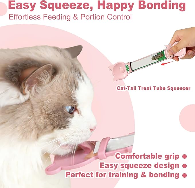 AZY 3-Piece Slow Feeder cat Bowl and Lick Mat Set – Silicone Cat Treat Spoon, Feeding Mat for Wet Food, Enrichment and Slow Eating