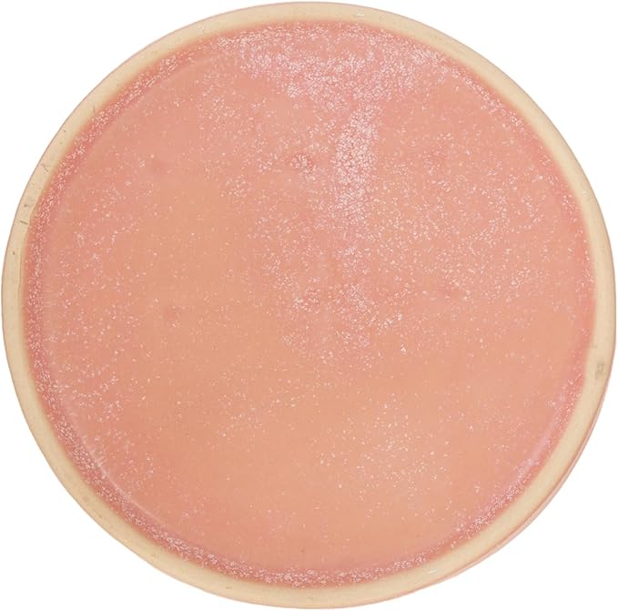 Ceramic Slow Feeder Cat Bowl, 6 Inch Shallow, Whisker Friendly, Dishwasher Safe (Pink)