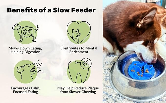 Slow Feeder Insert for Dog Bowl with Suction Cups – Anti-Choke Silicone Design Fits Most Dog Bowls – Includes 3 Finger Toothbrushes for Puppy & Pet Dental Care| We Give Back