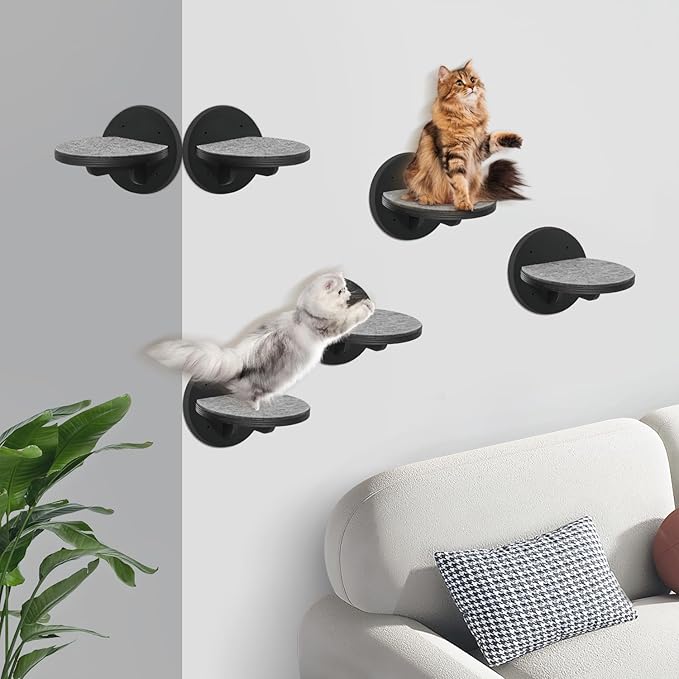 Cat Wall Shelves Furniture Set of 6, Wooden Cat Steps for with Scratching Pad, Sturdy Floating Climber Ladder Stairs, Cats Climbing Wall Systems for Cats Sleep Climb Play