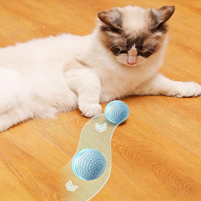 PANGBOER Lightup Cats Toy Ball with Automatic Rolling and Chewproof Design Teaser for Pet Dog Cats Indoor Entertainment Automatic Rolling Ball Pet
