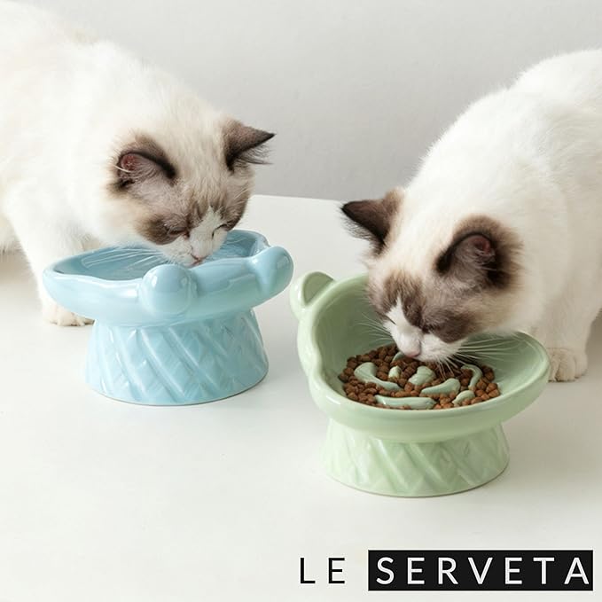 Winnie The Pooh Series Ceramic Slow Feeder Cat Bowl, Raised Anti-Gulping Design with Bear Ears, Pastel Colors, Quilted Pattern Base (Blue)