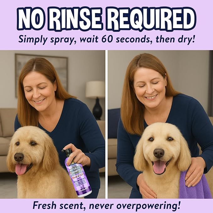 Bodhi Dog Waterless Shampoo - Natural Dry Shampoo for Dogs & Cats - Neutralizes Pet Odor - No Rinse Required - Made of Natural Extracts - Safe for Sensitive Skin - Made in USA - Lavender (8 Fl Oz)
