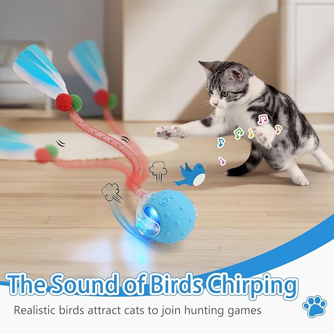 Interactive Cat Toy Ball for Indoor Features Fast Rolling, Bird Chirping Sounds,Intelligent Activation.It’s Rechargeable and Includes Two Replaceable Tail Types