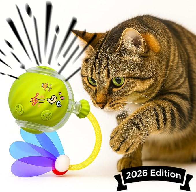 Cat Toys for Indoor Cats – 2X Automatic Kitten Interactive Toy with Speedy Ball Tail as Pet Mental Stimulation - 2-Set Bundle - 2026 Edition (Random Color)