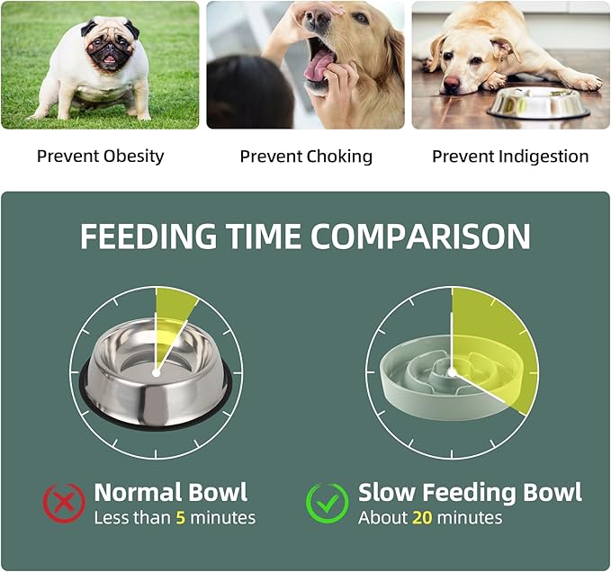 Ceramic Raised Slow Feeder Dog Bowl Set, Elevated 7.3inch Bowl and 8.2inch Puzzle Slow Dish with Wooden Stand for Medium and Large Dog, Anti-Gulping (2X Light Green+ Stand)