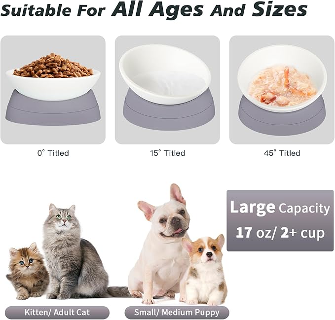 Ravitat 4Pcs Elevated Cat Food Bowl - Adjustable, Anti-Slip & Anti-Noise, Protects Pet's Spine, Thickened Plastic, 17 Oz