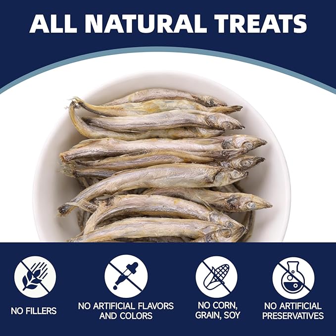 Freeze Dried Capelin Treats for Dogs & Cats, Single Ingredient Pet Fish Snacks, High Protein, Rich in Omega-3 for Skin Coat Health, Grain Free, 4.94 oz