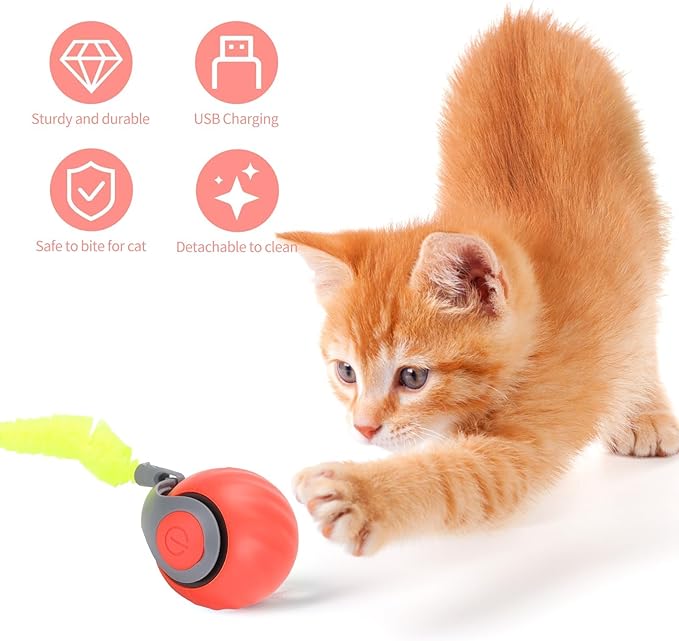 Speedy Tail Automatic Cat Ball Toy Self Rolling Moving Self-Rotating Cat Exercise Ball USB Rechargeable Interactive Hunting Cat Toy (Upgrade Orange)