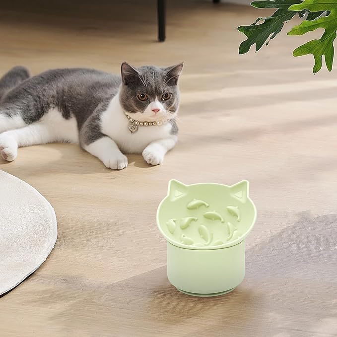 Cat Slow Feeder, Elevated Slow Feeder Bowl Tilt Design, No Black Chin, Tilted Design, for Dry Wet Food, for Cats & Small Dogs (Green)