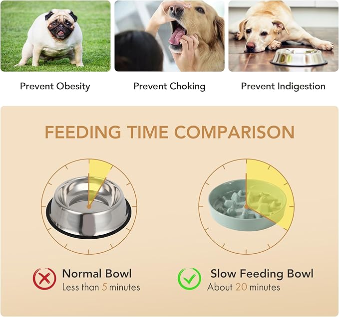 Ceramic 1.6 Cup Dog Bowl Slow Feeder, 8.2 inch Slow Pet Food Dish for Medium and Large Dog, Stop Bloat, Preventing Choking(Single Bowl, Light Green)