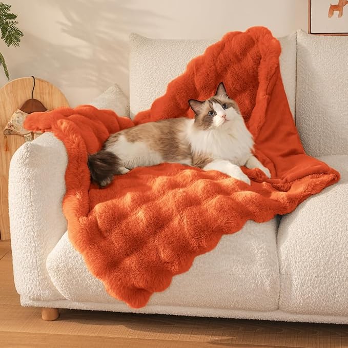 SOMAHE Self-Warming Cat Blanket, Dual-Side Plush Sherpa Throw with Anti-Static, Snuggle Mat for Kittens & Cats, Cozy Bed Topper for Windowsills & Couches, Machine Washable & Dryable, 21x18 Inch Orange