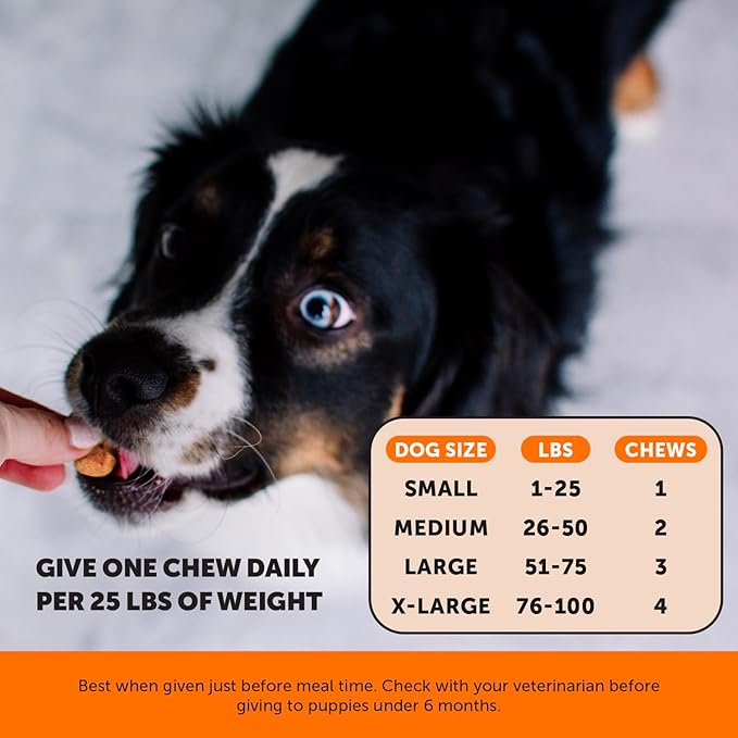 Pet Honesty Hip & Joint Turmeric Health - Joint Supplement for Dogs, Omega-3 Fish Oil, Turmeric to Support Overall Health & Ease Stiffness - Advanced Pet Mobility Support - 90 Ct (Pumpkin)