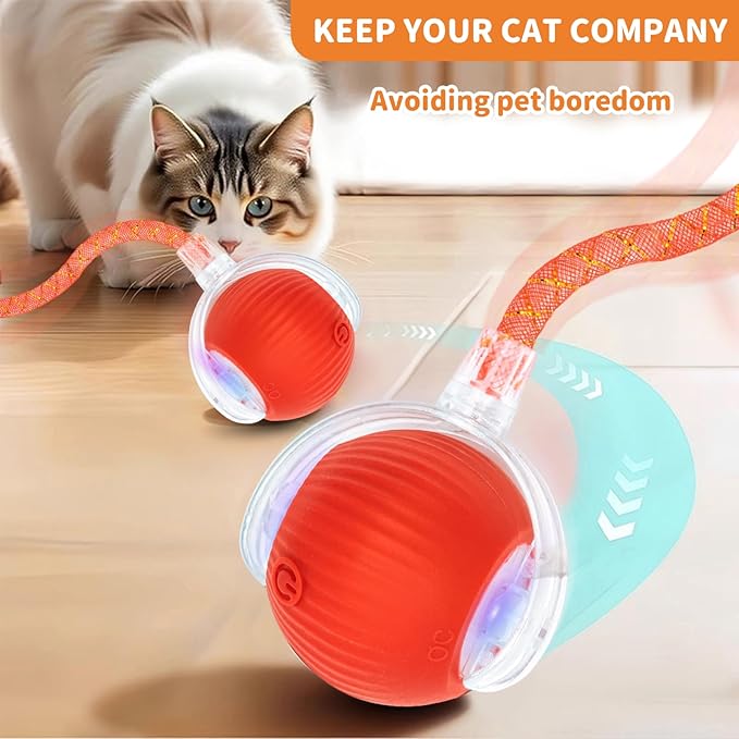 Interactive Cat Toys for Indoor Cats Smart Automatic Ball Rolling for Bored Kitten Pet Upgraded Speedy Moving Chase Dogs Toy Easter Gifts Red Dragonfly