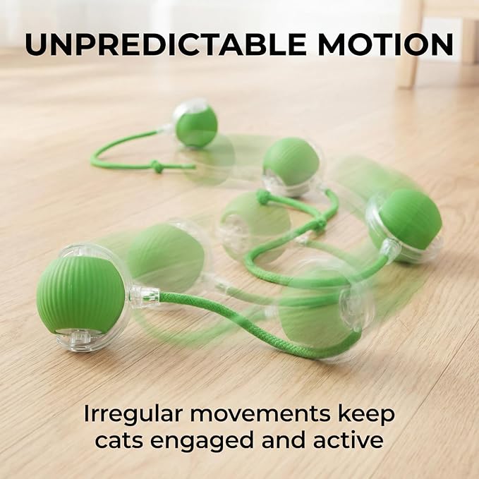 Interactive Dog Cat Toy Ball, Electric Automatic Rolling Moving USB Rechargeable Self Activated Stimulation Cat Toys for Indoor Cats and Dogs with Speedy Tail Rope(Green).