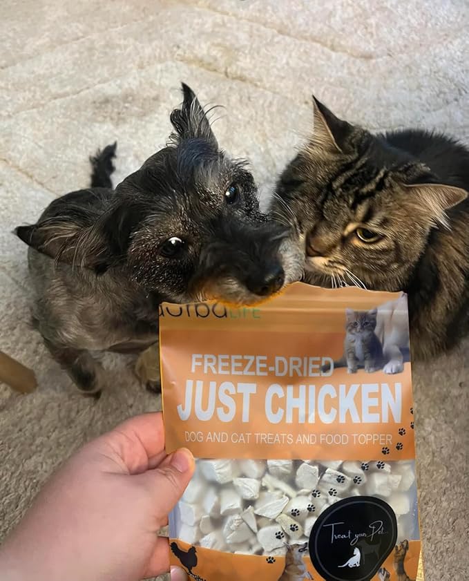Freeze-Dried Dual-Protein Raw Bites for Dogs & Cats | 2.0oz Each Duck & Chicken Topper, Single-Ingredient Treat Food Nutritious, Grain-Free Training Reward (2.0 oz, Duck & Chicken (2-Pack))