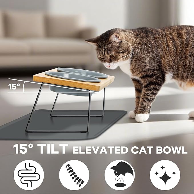 Upgraded Adjustable Height Cat Food Bowls Stand Ceramic Dog Bowls and Slow Feeder Cat Bowl, 15°Tilted Stand Anti Vomiting Raised for Small and Medium Sized Cats Dogs (Grey (2 Bowl+Pet mat))