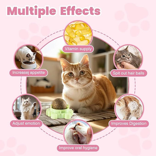 360° 4 Pack Catnip Ball for Cats Wall Mounted with Licking Roller and Spinning Motion - Interactive Treat Toy for Indoor Cats, Promotes Teeth Cleaning, Anxiety Relief and Active Play