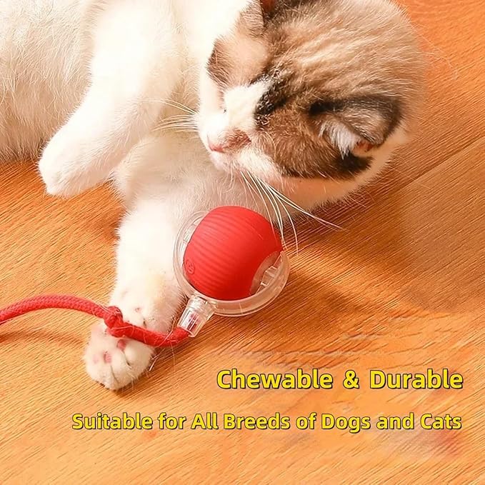 Smart Electric Cat/Dog Ball Toy - Interactive Rolling Ball, Automatic, Replacement Rope, Indoor/Outdoor (Green)