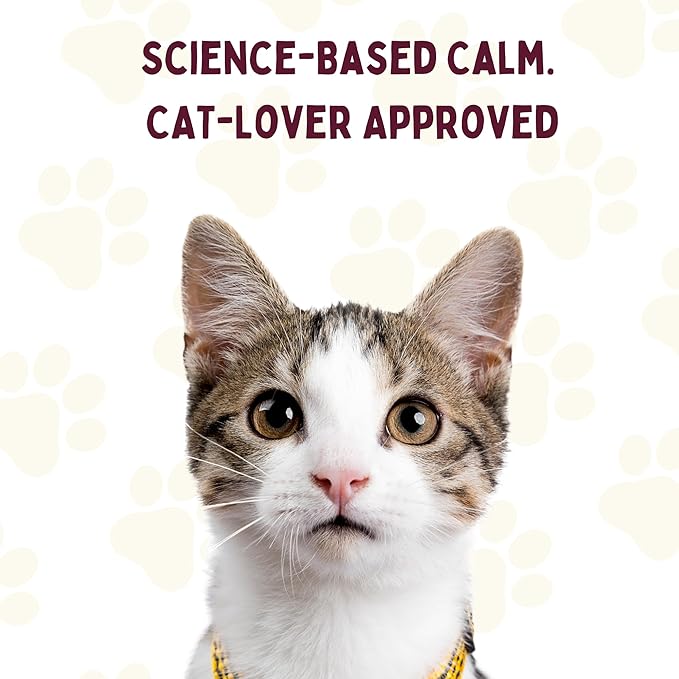 Positive Affirmation Cards for Stress & Anxiety Relief with Proven Self Care Techniques for Cat Lovers | Cat Mom Gifts for Women for Motivation & Relaxation for Birthday, Mothers Day | Cats Presents