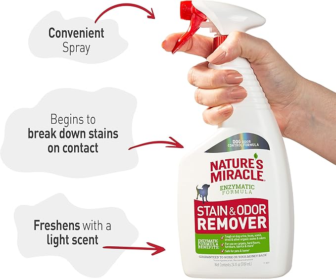 Nature's Miracle Dog Stain and Odor Remover, Everyday Mess Enzymatic Formula, 24 fl oz