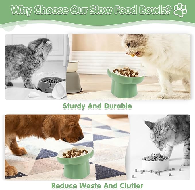 Cat Slow Feeder Bowl Set - 1 Pcs Pastel Series Cat Plate for Dry and Wet Food - Cute Maze Feeder Dish for Healthy Eating- Slow Feeding Bowls Whisker Friendly - Dishwasher Safe(Green)