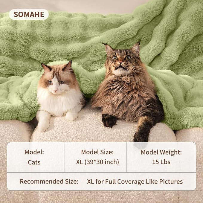 SOMAHE Self-Warming Cat Blanket for Indoor Cats & Small Dogs, Dual-Side Sherpa Plush Throw, Anti-Static Shared Couch Mat for Crate & Travel, Machine Washable No Shrink, 28x22 Inch Green