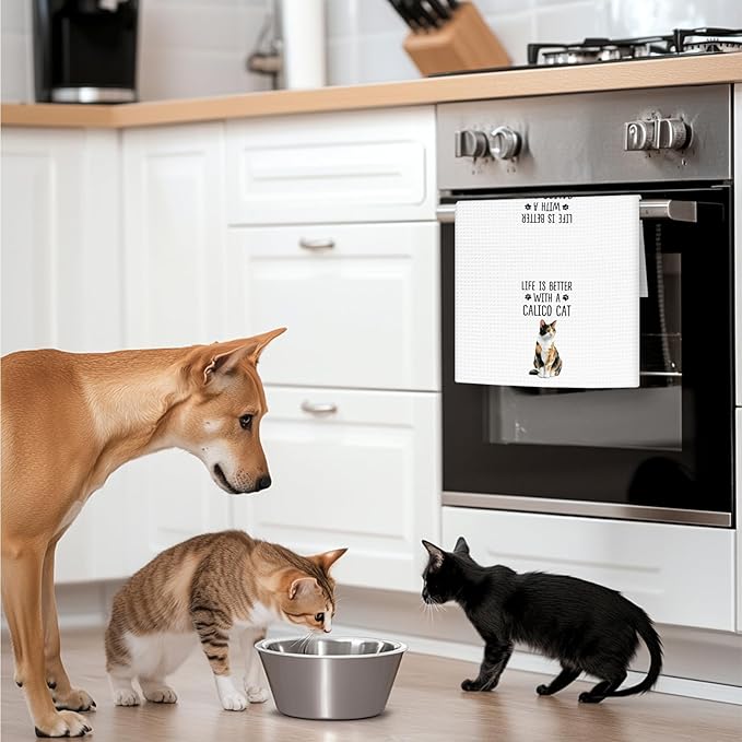 Calico Cat Gifts Kitchen Towels Set of 2, Gifts for CalicoCat Lovers Hand Towels, Life is Better with a Calico Cat Dish Towel Tea Towel for Kitchen, Cat Kitty Owners Kitchen Decor, 16x24In