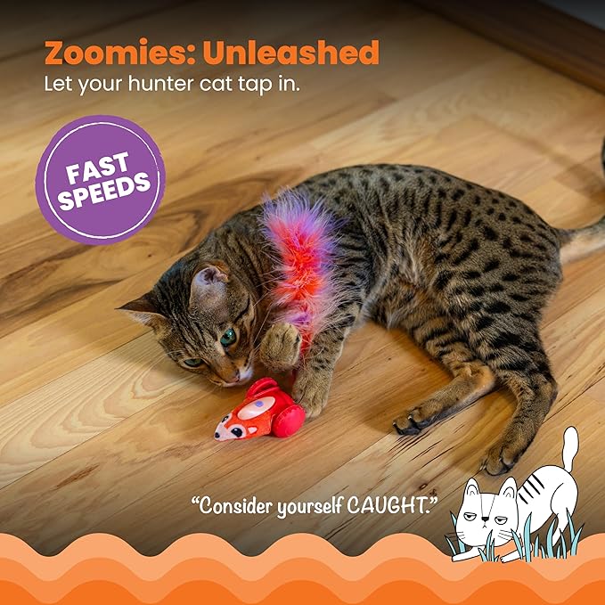 Catstages Racin' Squirrel Robot, Electronic Moving Cat Toy with Feathers, USB Rechargeable, Red