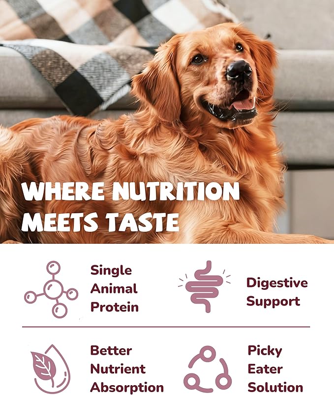 PAWUP Freeze Dried Duck Dog Treats & Food Topper, Limited Ingredient for Sensitive Stomach & Skin, High Protein Grain Free for Picky Eaters, Bulk Value Size 14 oz