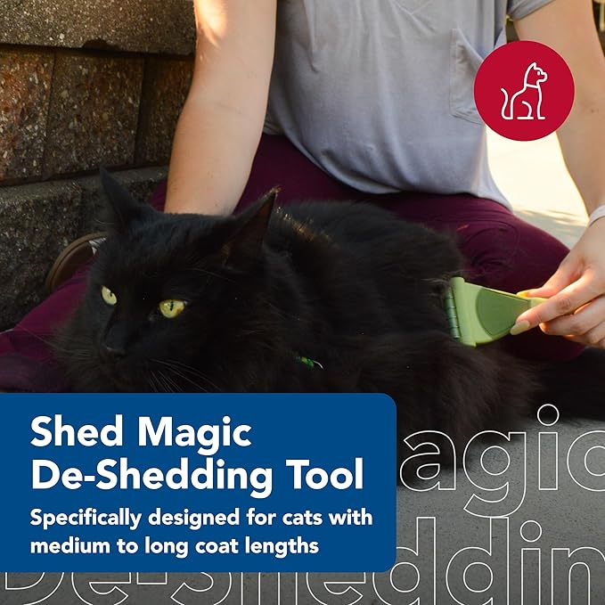 Shed Magic for Short Hair Cats